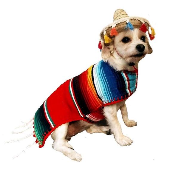 Handmade reversible Mexican poncho and sombrero for Dogs XS - Picture 1 of 8